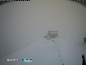 montebue