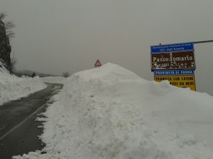 passo tomarlo neve