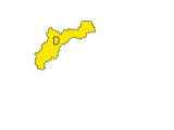 D1