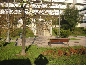 arenelle