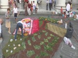 infiorata