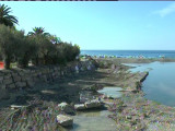 torrente petronio 1