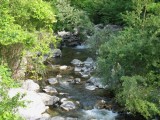 torrente graveglia