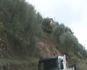 FRANA MEZZANEGO3