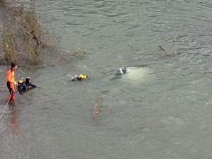 IMG_2407_JPG