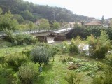foto ponte crollato carasco