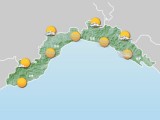 2013-11-12_6_regione8_tortora