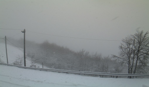 neve tomarlo