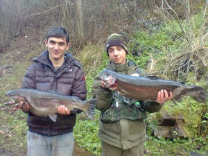 pesca