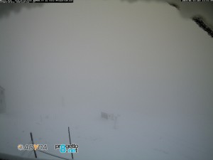 montebue