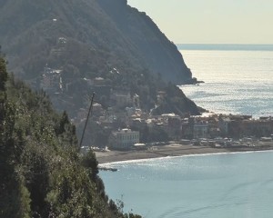 punta manara