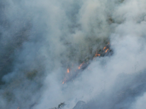 incendiovesima