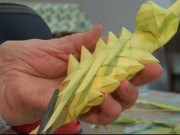 palme pasquali 1