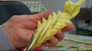 palme pasquali 1