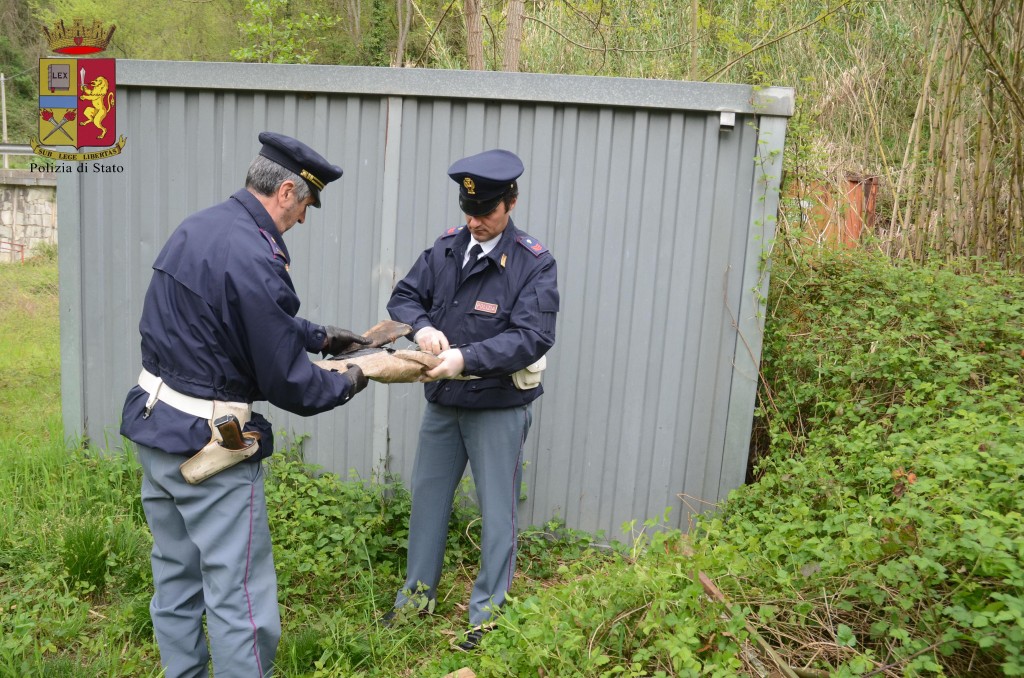 polizia