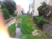 erbacce Rupinaro