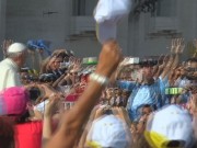PELLEGRINI PAPA