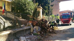 Palma crollata scuola Sampierdicanne
