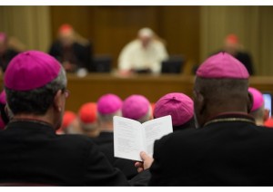 sinodo dei vescovi