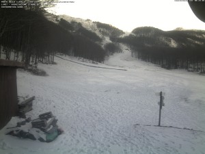 prato cipolla neve