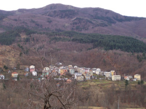Cerisola