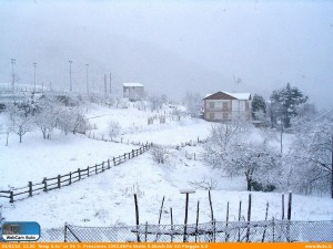 buto neve