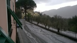 grandine cogorno