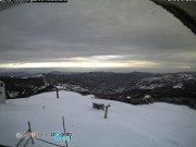 montebue