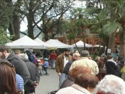 Erba persa a Santa Margherita ligure