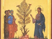icona_granello_di_senape
