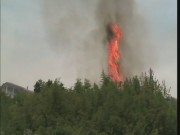 incendio leivi