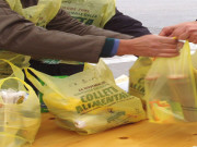 colletta-alimentare-620x360