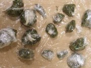 MARIJUANA-E-HASHISH-DOSI