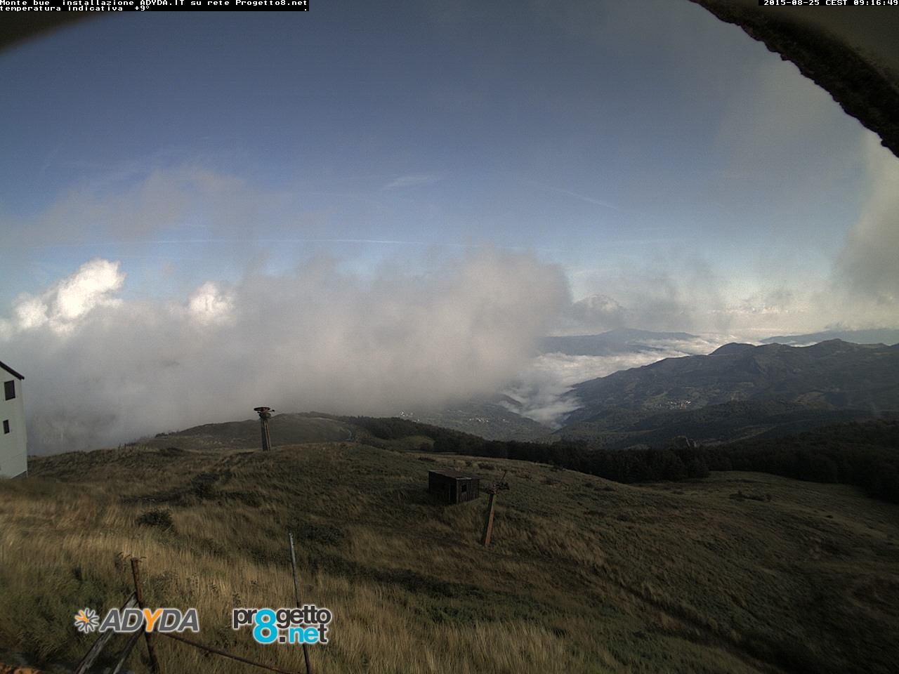 montebue