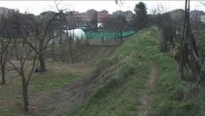 SEGIUN LAVAGNA