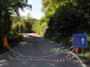 alpepiana