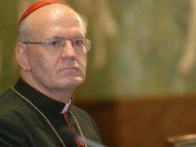 cardinale peter erdo