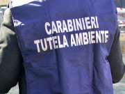 sequestro rifiuti tossici