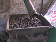 CASTAGNE