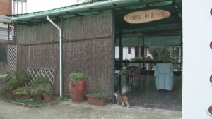 camping dei fieschi