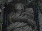 madonna caminello