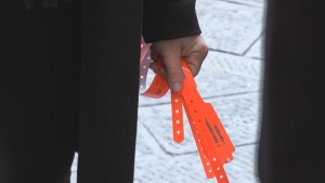 braccialetti avvocati penalisti