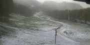 neve cipolla maggio