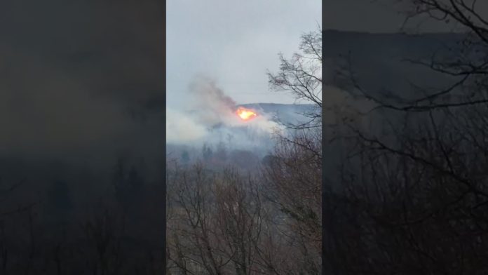 196744