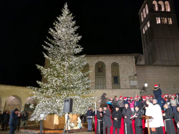 ALBERO NATALE ASSISI 01