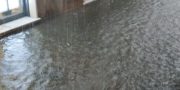 LAVAGNA WhatsApp Image 2018-07-12 at 11.42.27