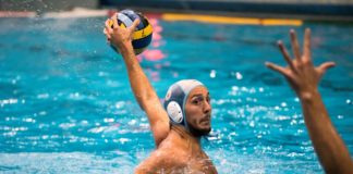 pro recco sport management