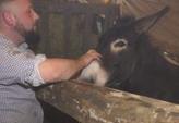 Gli animali del presepe della Croce Rossa di Cogorno
