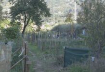 Orti urbani a Chiavari: c’è il bando per l’assegnazione di due appezzamenti