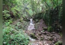 S. Margherita L. al via la regimentazione idraulica del torrente Nozarego